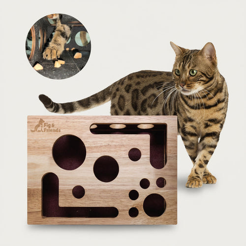 Cat Nail File Enrichment Box for Healthy Scratching and Play
