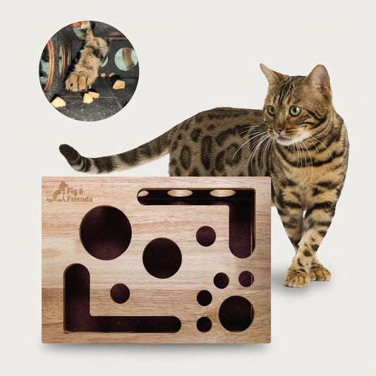 Cat Nail File Enrichment Box for Healthy Scratching and Play