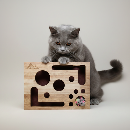 Cat Nail File Enrichment Box for Healthy Scratching and Play
