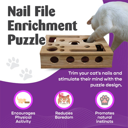 Cat Nail File Enrichment Box for Healthy Scratching and Play