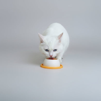Interactive Lick Slow Feed Toy for Dogs and Cats