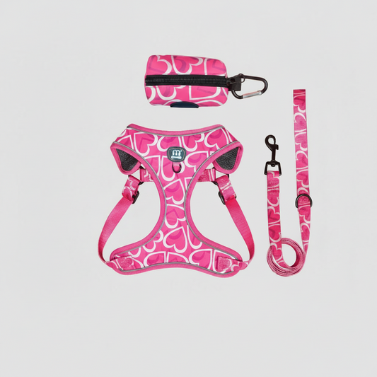 3-Piece Dog Harness, Leash & Waste Bag Set for Small to Medium Dogs