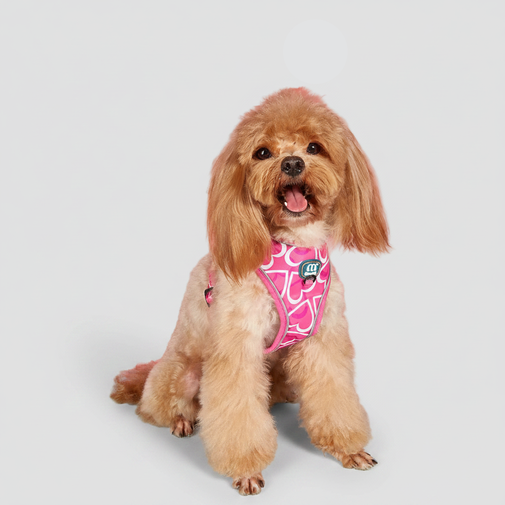 3-Piece Dog Harness, Leash & Waste Bag Set for Small to Medium Dogs