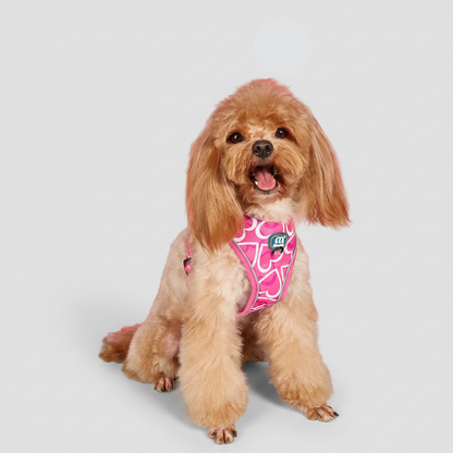 3-Piece Dog Harness, Leash & Waste Bag Set for Small to Medium Dogs