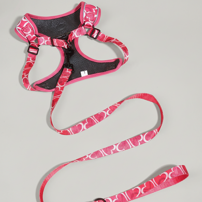 3-Piece Dog Harness, Leash & Waste Bag Set for Small to Medium Dogs