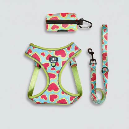 3-Piece Dog Harness, Leash & Waste Bag Set for Small to Medium Dogs