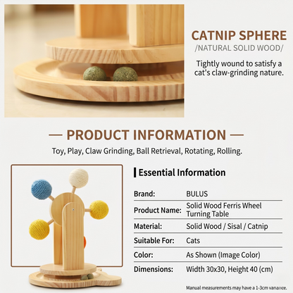Interactive Ferris Wheel Cat Scratcher Toy